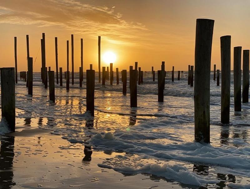 De Kameleon Villa Petten Buitenkant foto